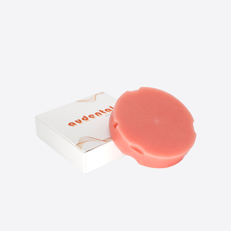Bloc PMMA dentaire rose-A2, durable et résistant à l'eau, pour des restaurations solides et robustes